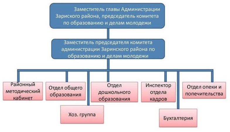 Структура Комитета Администрации Заринского района по образованию и делам молодежи